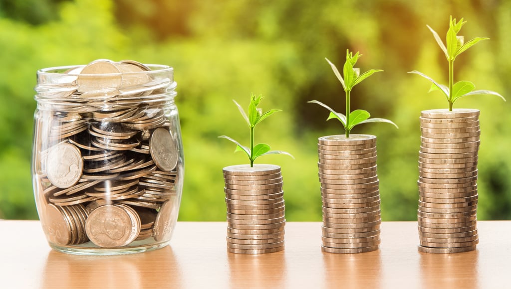 Canva-Plants-Growing-on-Coin-Piles.-Savings-Concept.
